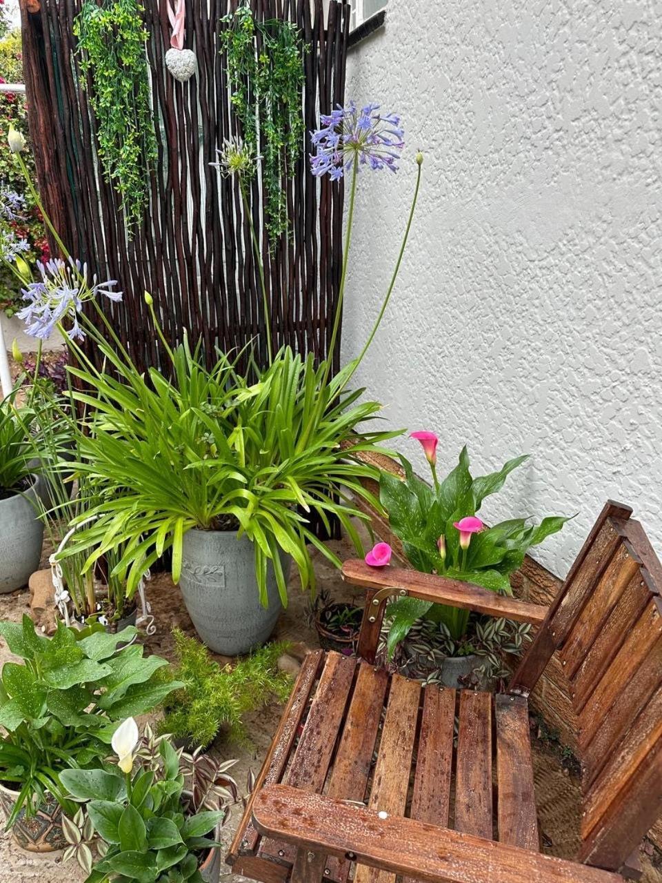 Bagley Terrace 136 Cottage Johannesburgo Exterior foto